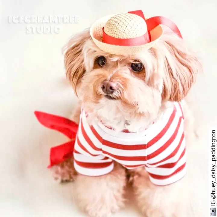 Gondolier Look Outfit Set - Pet Clothing