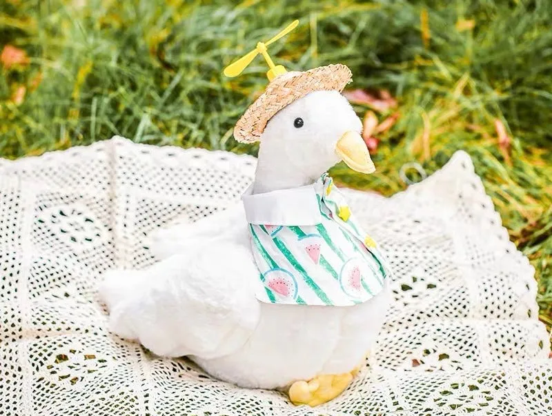 Lovely costume duck toy