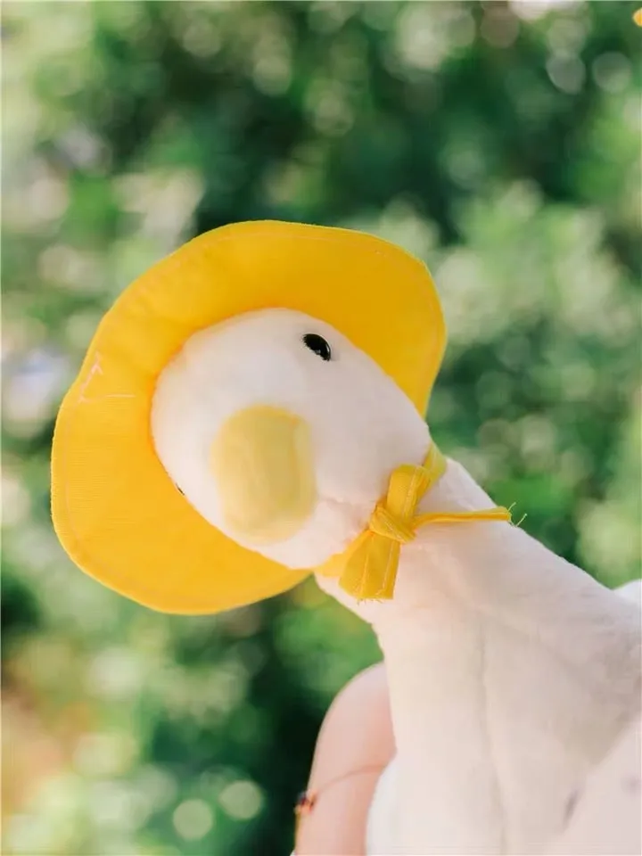 Lovely costume duck toy